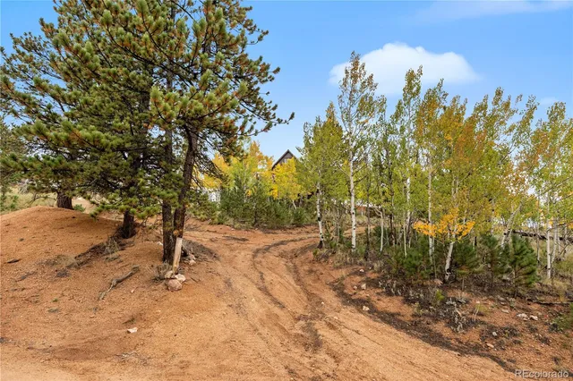 $255,000 | 229 McDougal Road, Bailey, CO 80421