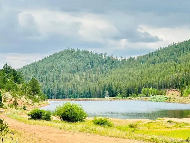 $255,000 | 229 McDougal Road, Bailey, CO 80421