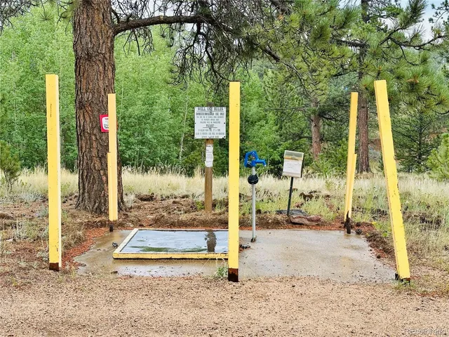 $255,000 | 229 McDougal Road, Bailey, CO 80421