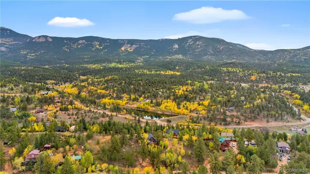 a close up of a plant in a garden