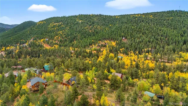 a view of backyard of house