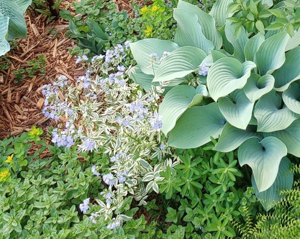 124 Ramlen Court Appleton, WI 54915 - Photo 33 of 36