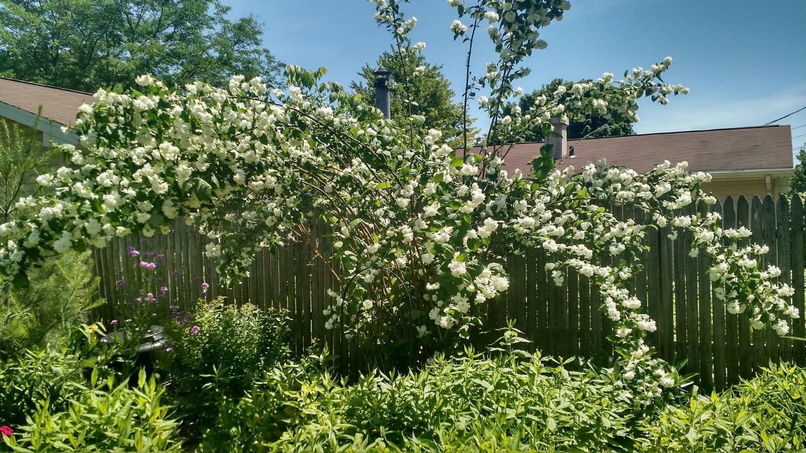 124 Ramlen Court Appleton, WI 54915 - Photo 34 of 36