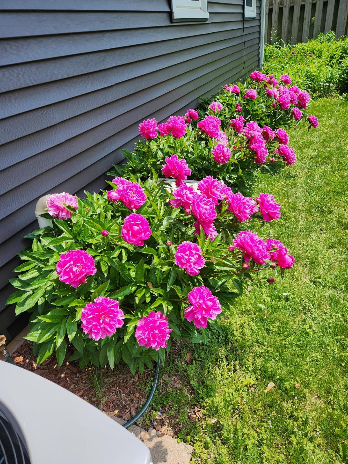 124 Ramlen Court Appleton, WI 54915 - Photo 36 of 36