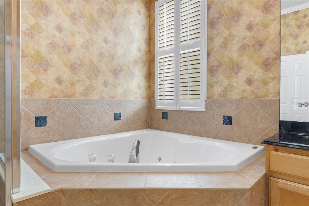 825 Spring Park Loop Celebration, FL 34747 - Photo 38 of 74 Gallery Image 38