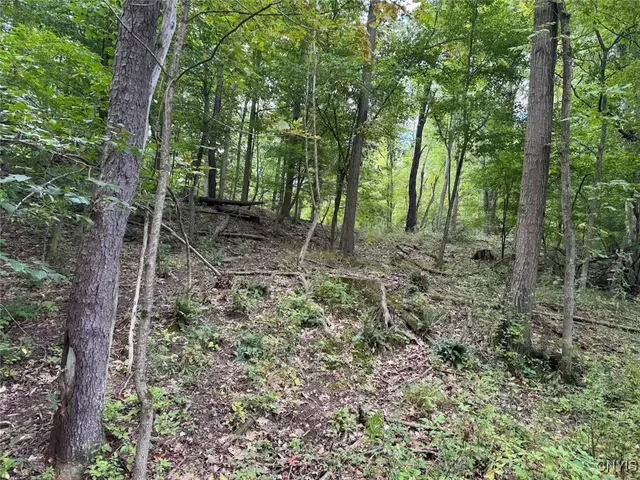 $46,900 | 27 B County Road, Fillmore, NY 14735