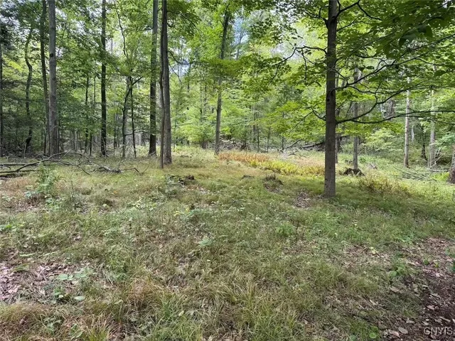 $46,900 | 27 B County Road, Fillmore, NY 14735