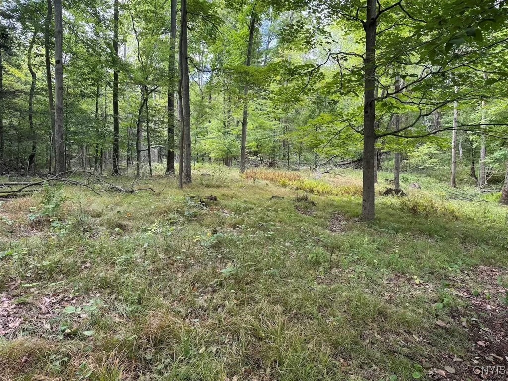 27 B County Road Fillmore, NY 14735 - Photo 12 of 26