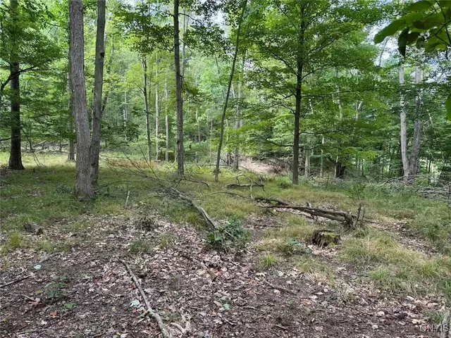 $46,900 | 27 B County Road, Fillmore, NY 14735