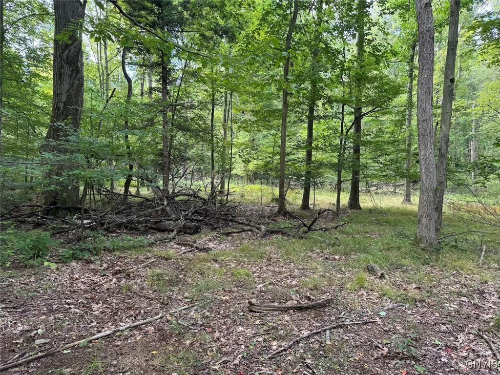 27 B County Road Fillmore, NY 14735 - Photo 14 of 26