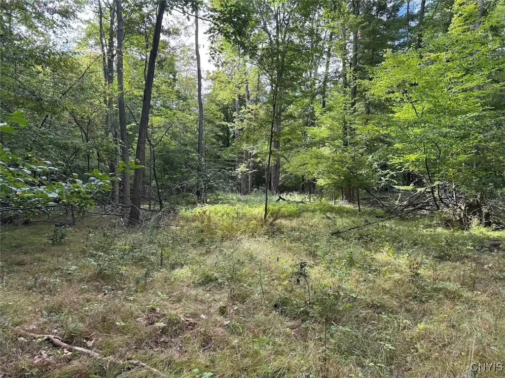 27 B County Road Fillmore, NY 14735 - Photo 15 of 26