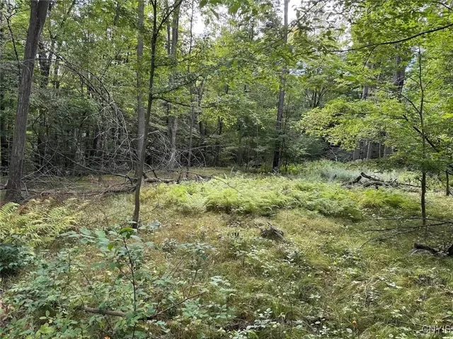 $46,900 | 27 B County Road, Fillmore, NY 14735