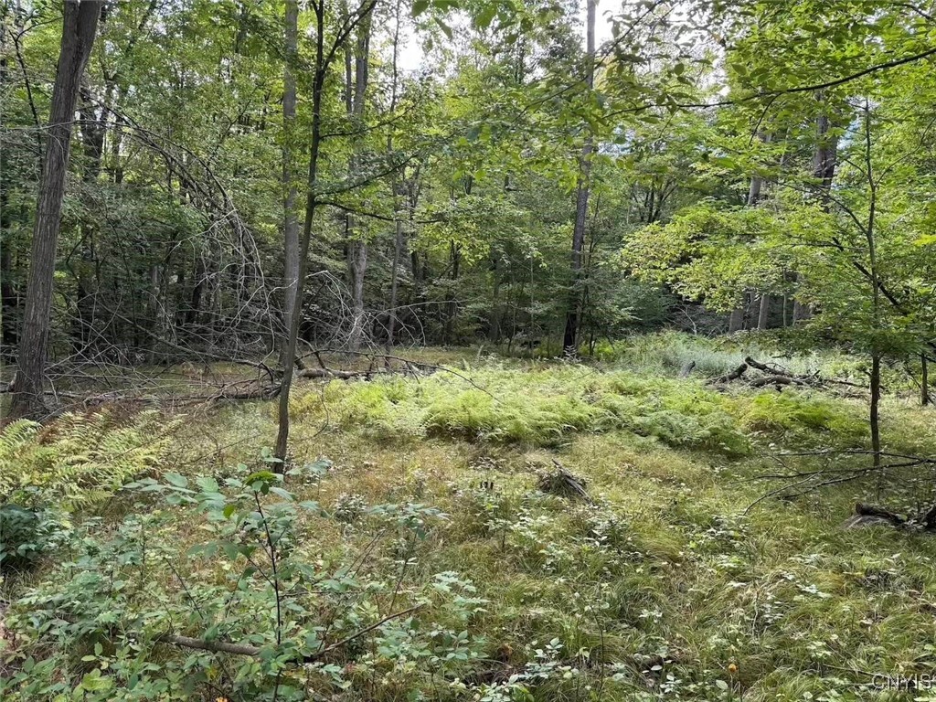 27 B County Road Fillmore, NY 14735 - Photo 16 of 26