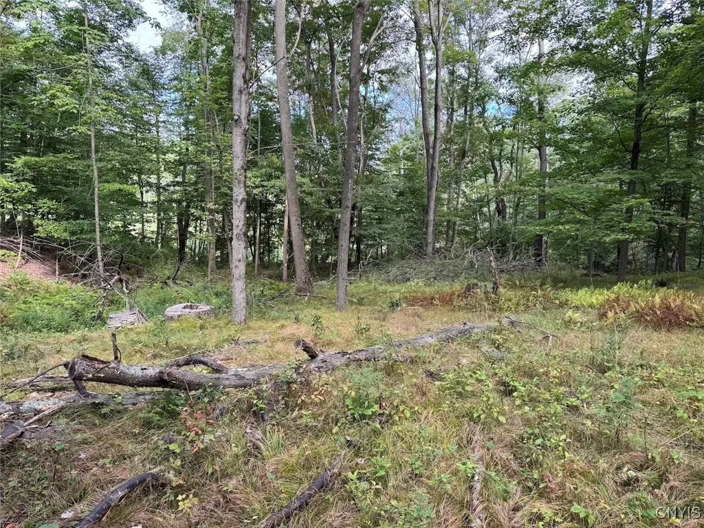 27 B County Road Fillmore, NY 14735 - Photo 17 of 26