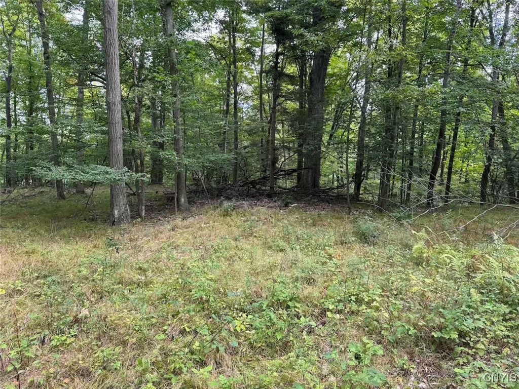 27 B County Road Fillmore, NY 14735 - Photo 18 of 26