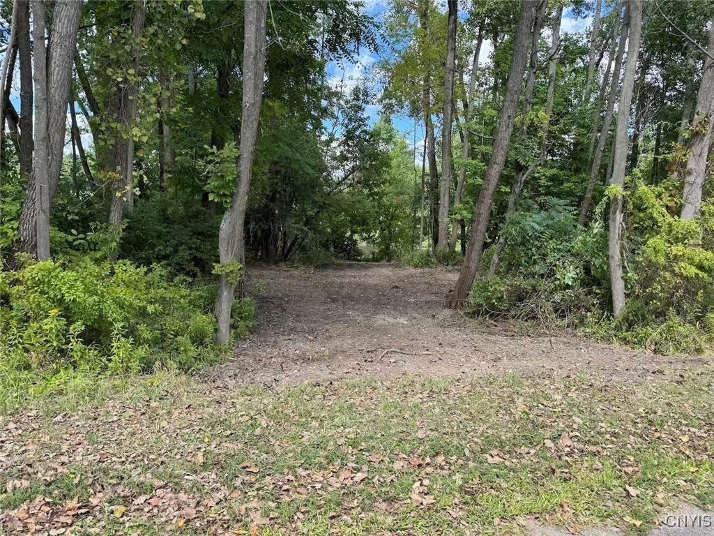 27 B County Road Fillmore, NY 14735 - Photo 19 of 26