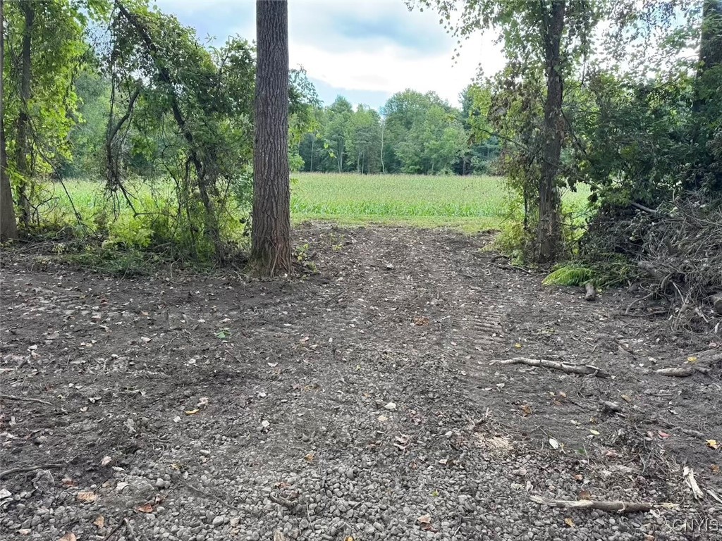 27 B County Road Fillmore, NY 14735 - Photo 21 of 26