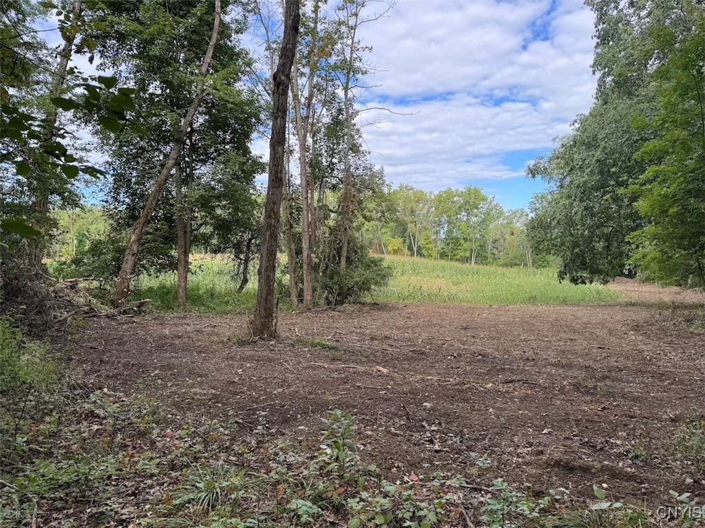 27 B County Road Fillmore, NY 14735 - Photo 4 of 26