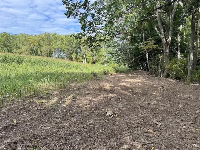 $46,900 | 27 B County Road, Fillmore, NY 14735