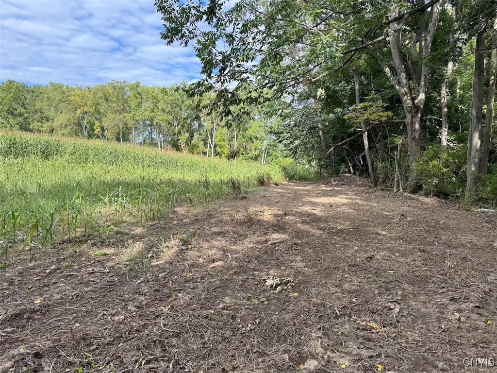 27 B County Road Fillmore, NY 14735 - Photo 5 of 26