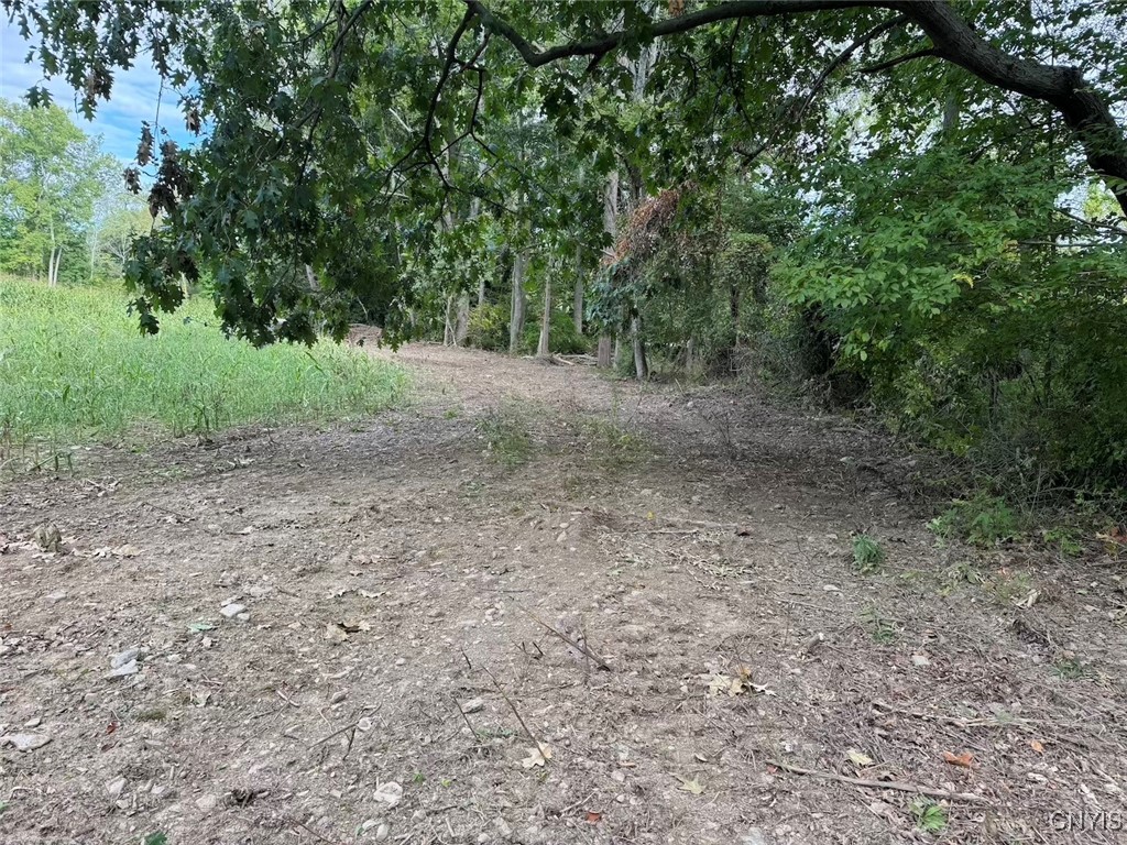 27 B County Road Fillmore, NY 14735 - Photo 6 of 26