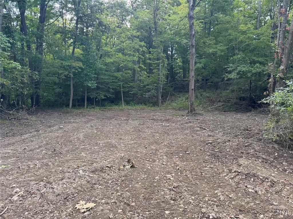 27 B County Road Fillmore, NY 14735 - Photo 7 of 26