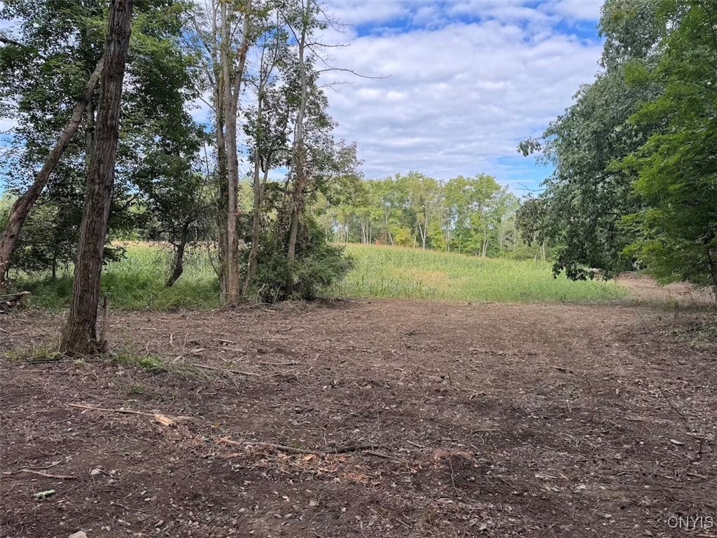 27 B County Road Fillmore, NY 14735 - Photo 8 of 26