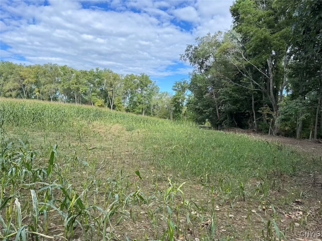 27 B County Road Fillmore, NY 14735 - Photo 9 of 26