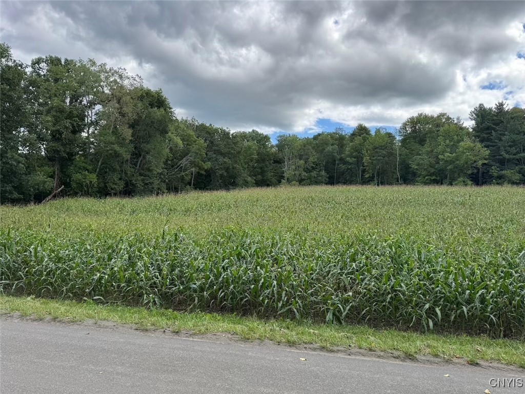 27 B County Road Fillmore, NY 14735 - Photo 10 of 26