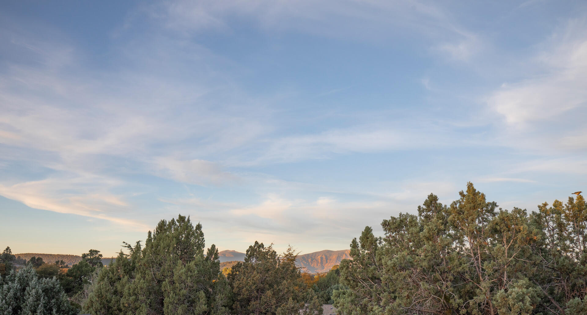 809 West St Moritz Drive Payson, AZ 85541 - Photo 24 of 41
