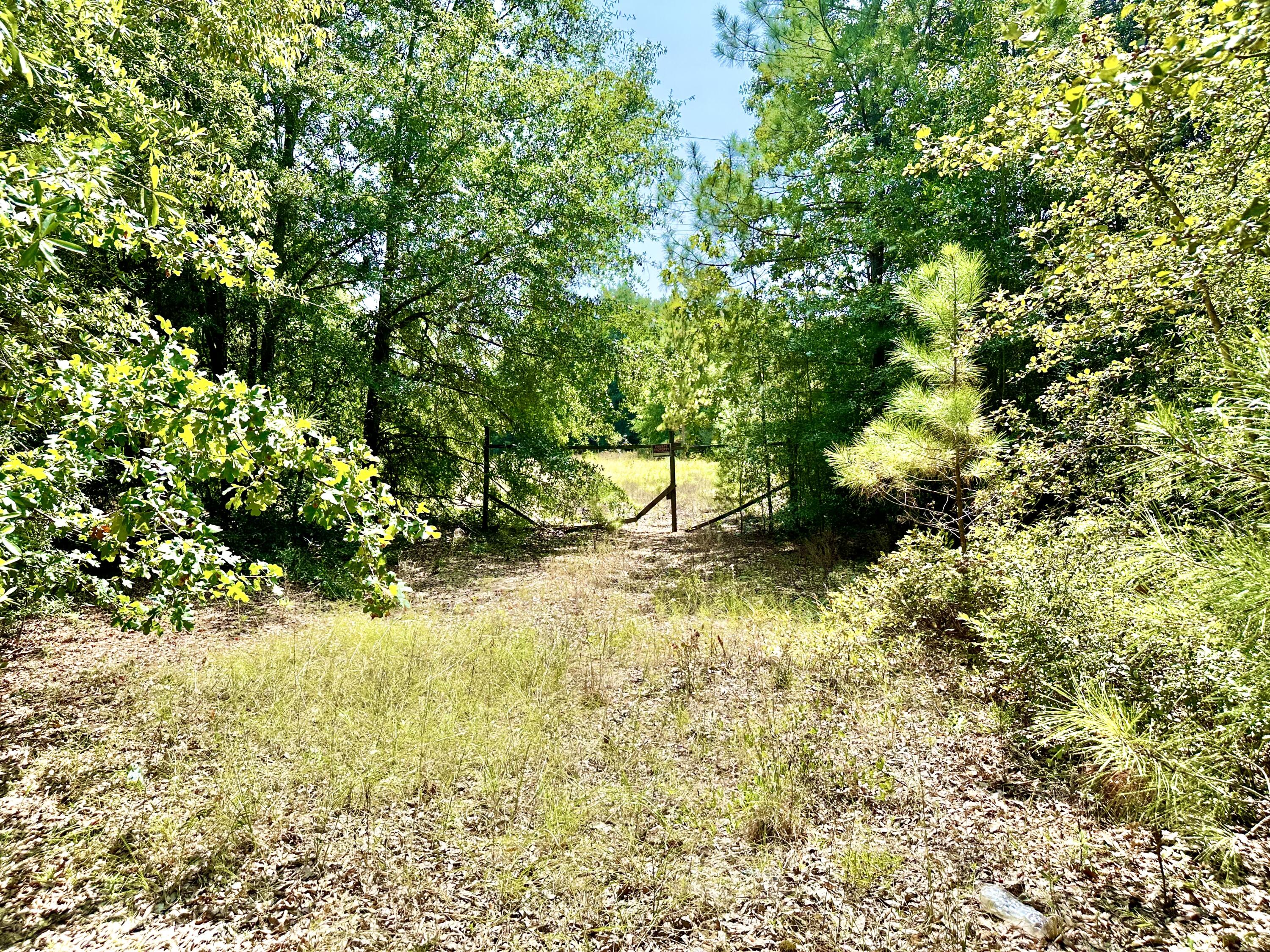 Lot 1 State Park Road Windsor, SC 29856 - Photo 4 of 5