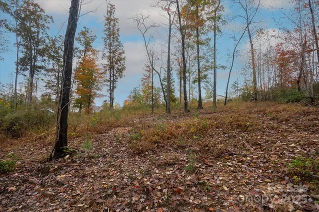 a big yard with lots of green space