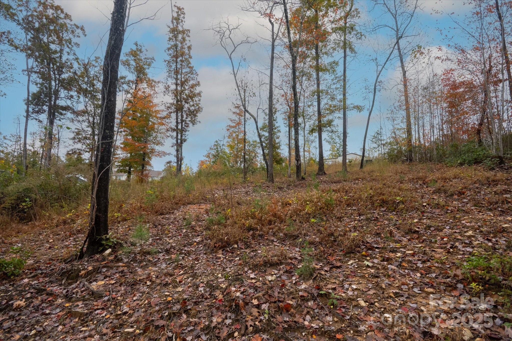 269 Mooseheart Road Marion, NC 28752 - Photo 1 of 12 a big yard with lots of green space
