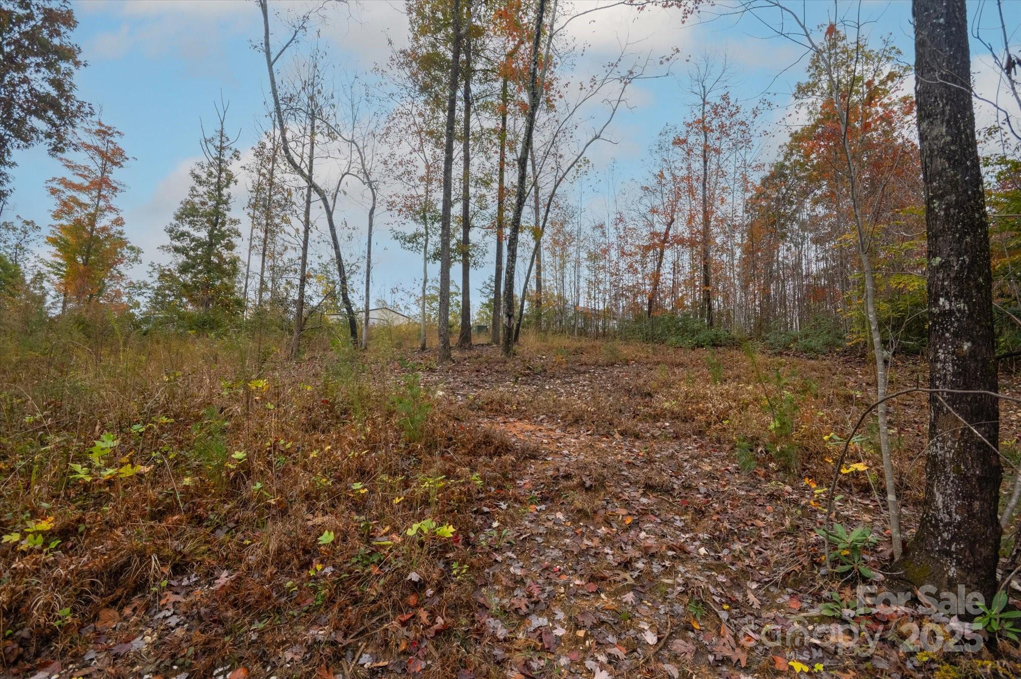 269 Mooseheart Road Marion, NC 28752 - Photo 2 of 12 a view of a yard with trees