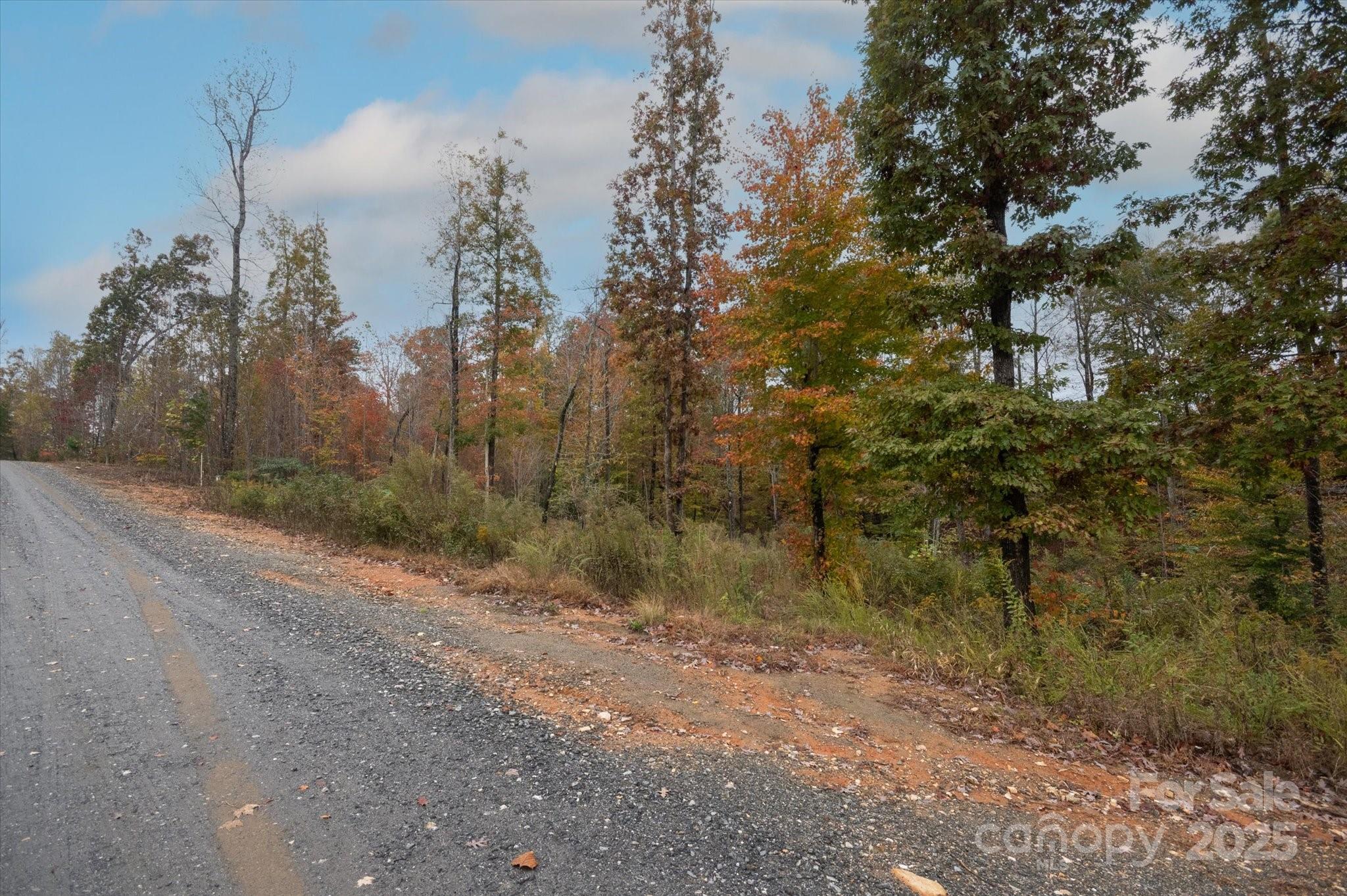 269 Mooseheart Road Marion, NC 28752 - Photo 3 of 12 a view of a pathway both side of yard
