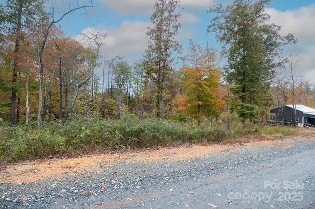 a view of a yard with a tree
