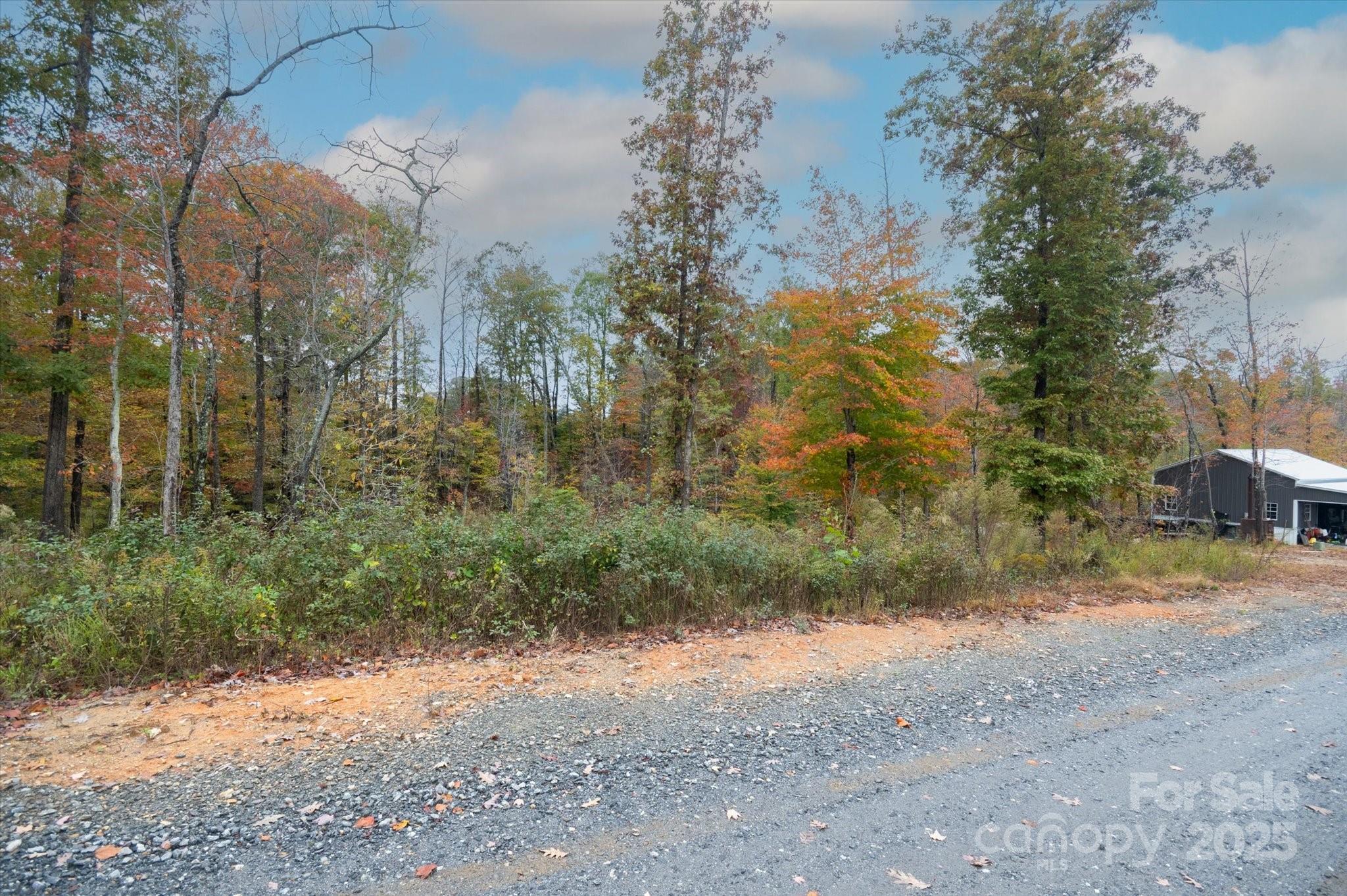 269 Mooseheart Road Marion, NC 28752 - Photo 4 of 12 a view of a yard with a tree