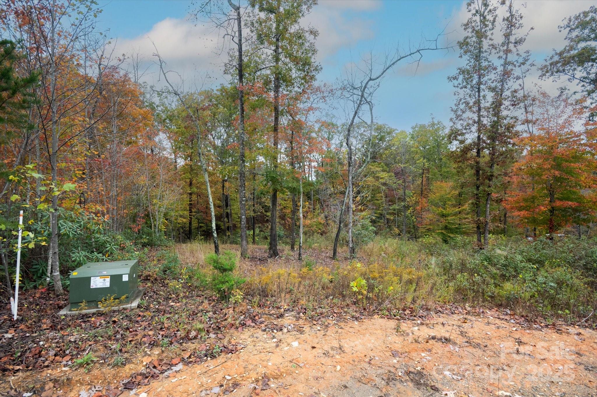 269 Mooseheart Road Marion, NC 28752 - Photo 5 of 12 a view of a forest with trees