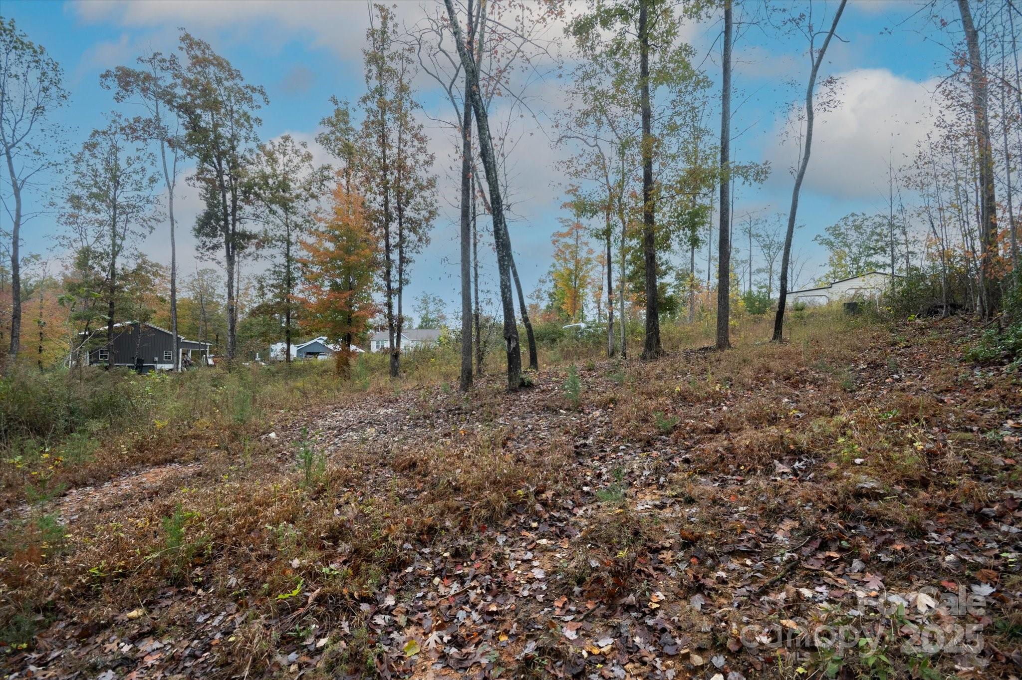 269 Mooseheart Road Marion, NC 28752 - Photo 7 of 12 a view of a backyard