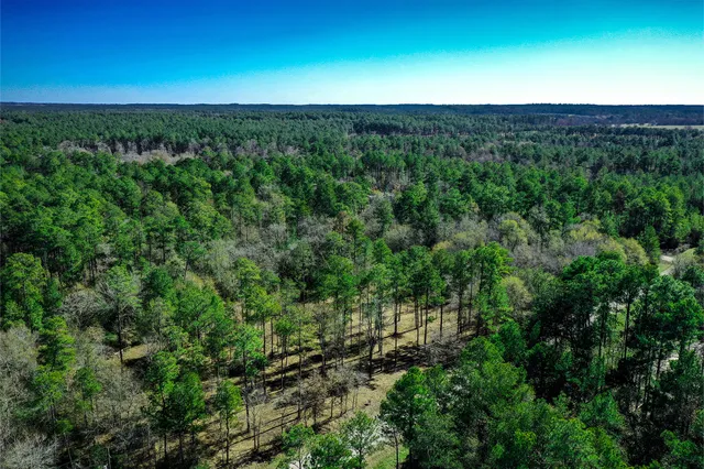 $250,000 | 97 Utley Road, Huntsville, TX 77320