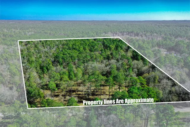 $250,000 | 97 Utley Road, Huntsville, TX 77320