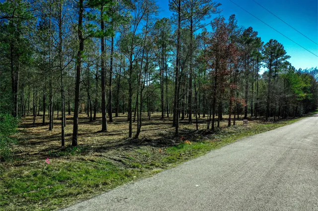 $250,000 | 97 Utley Road, Huntsville, TX 77320