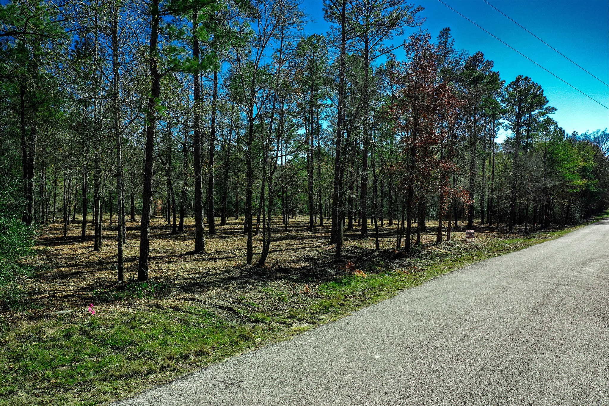 97 Utley Road Huntsville, TX 77320 - Photo 3 of 10 a view of a park