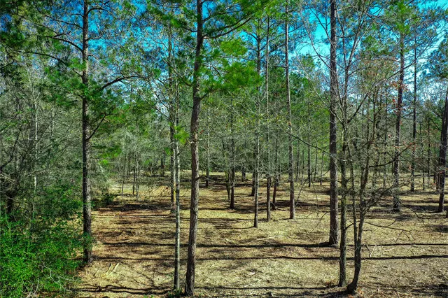 $250,000 | 97 Utley Road, Huntsville, TX 77320