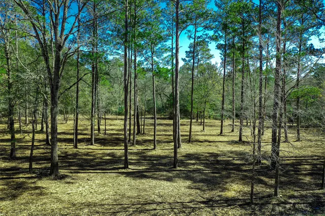 $250,000 | 97 Utley Road, Huntsville, TX 77320