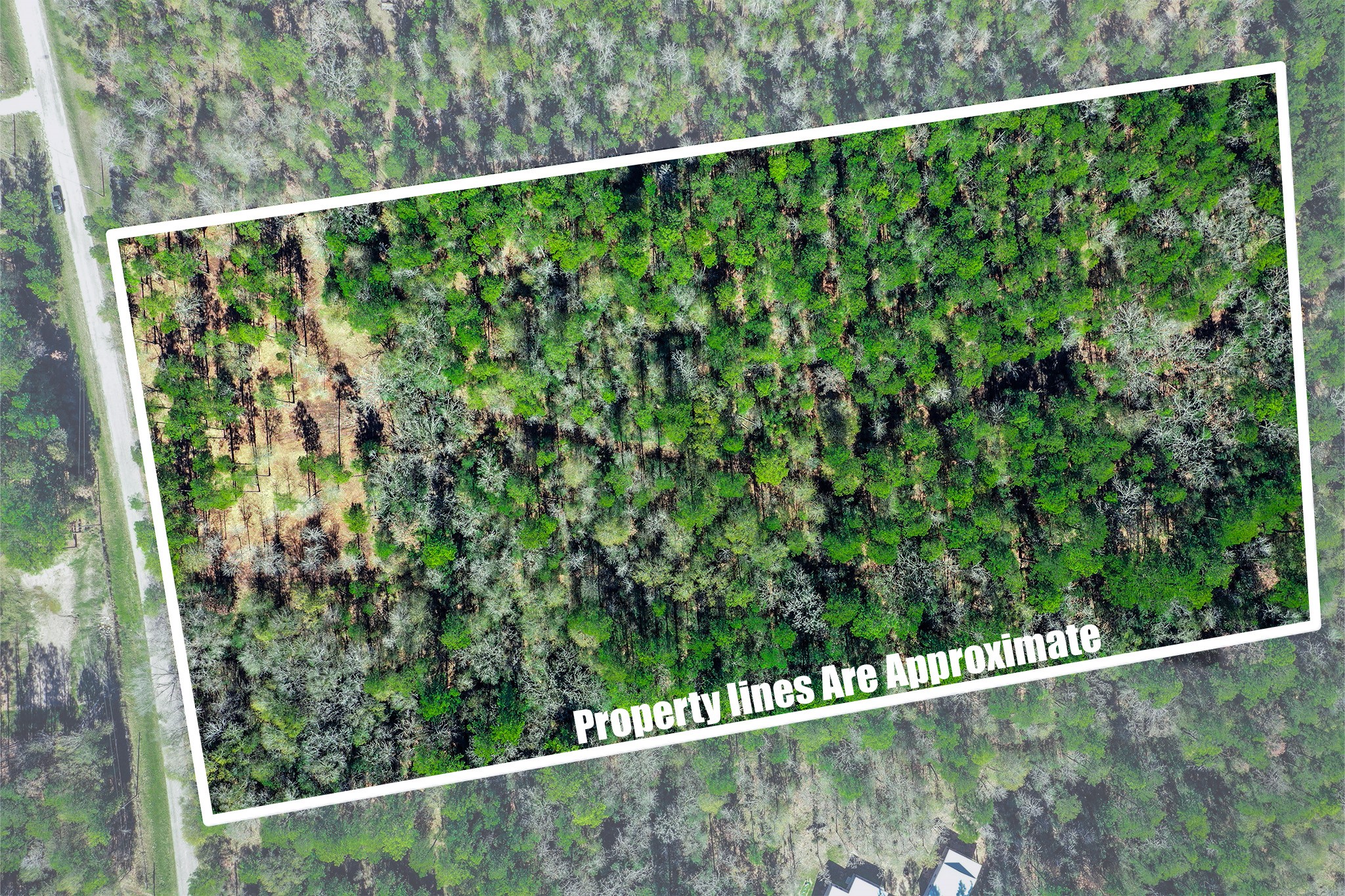 97 Utley Road Huntsville, TX 77320 - Photo 8 of 10 a view of a green yard from a balcony