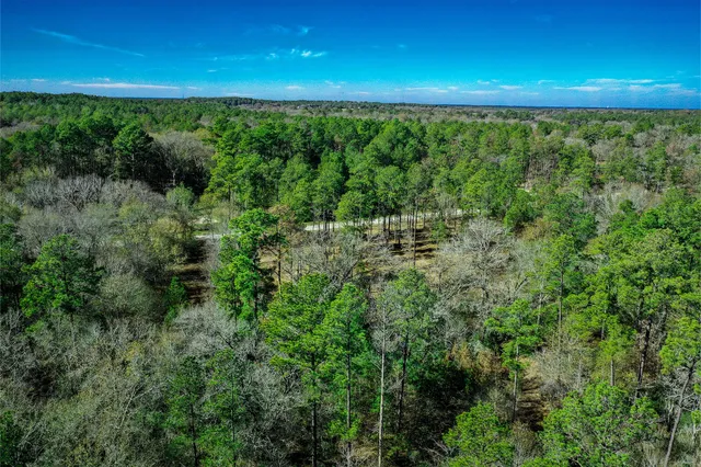 $250,000 | 97 Utley Road, Huntsville, TX 77320