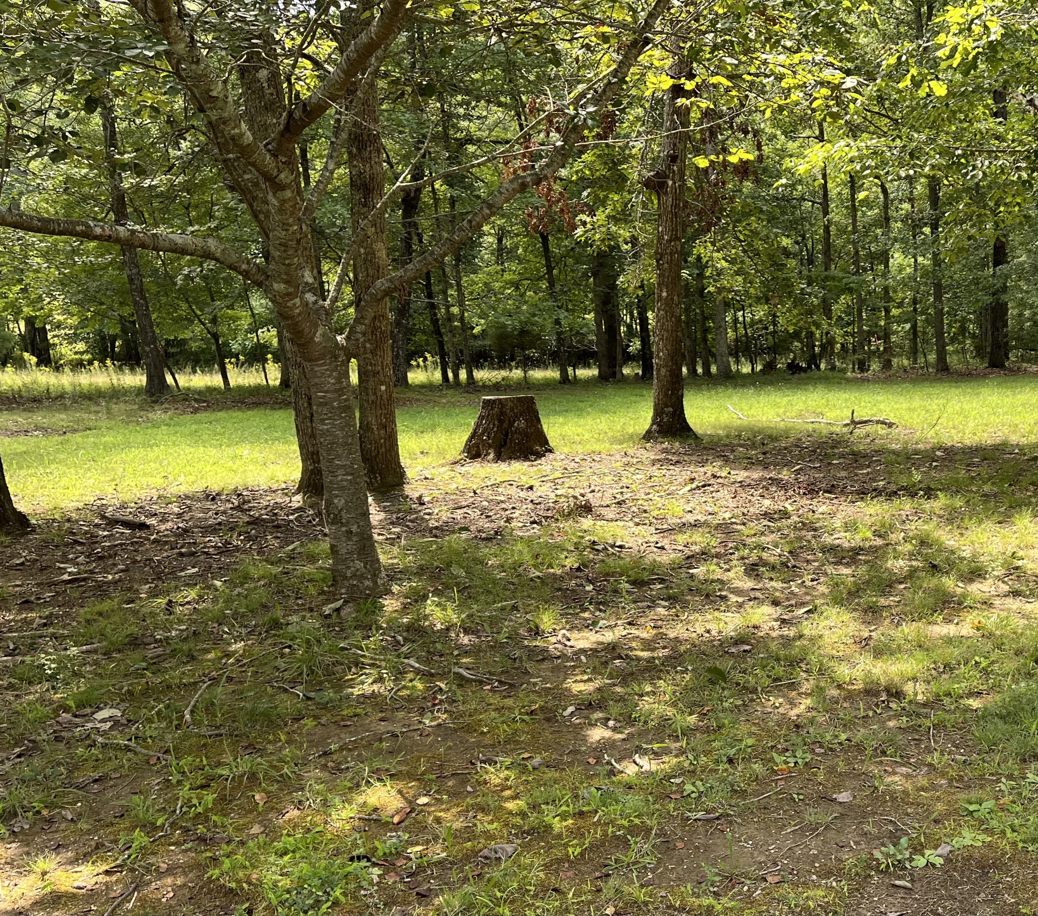 214 Blackberry Farm Road Monteagle, TN 37356 - Photo 1 of 2 a view of a yard with swimming pool