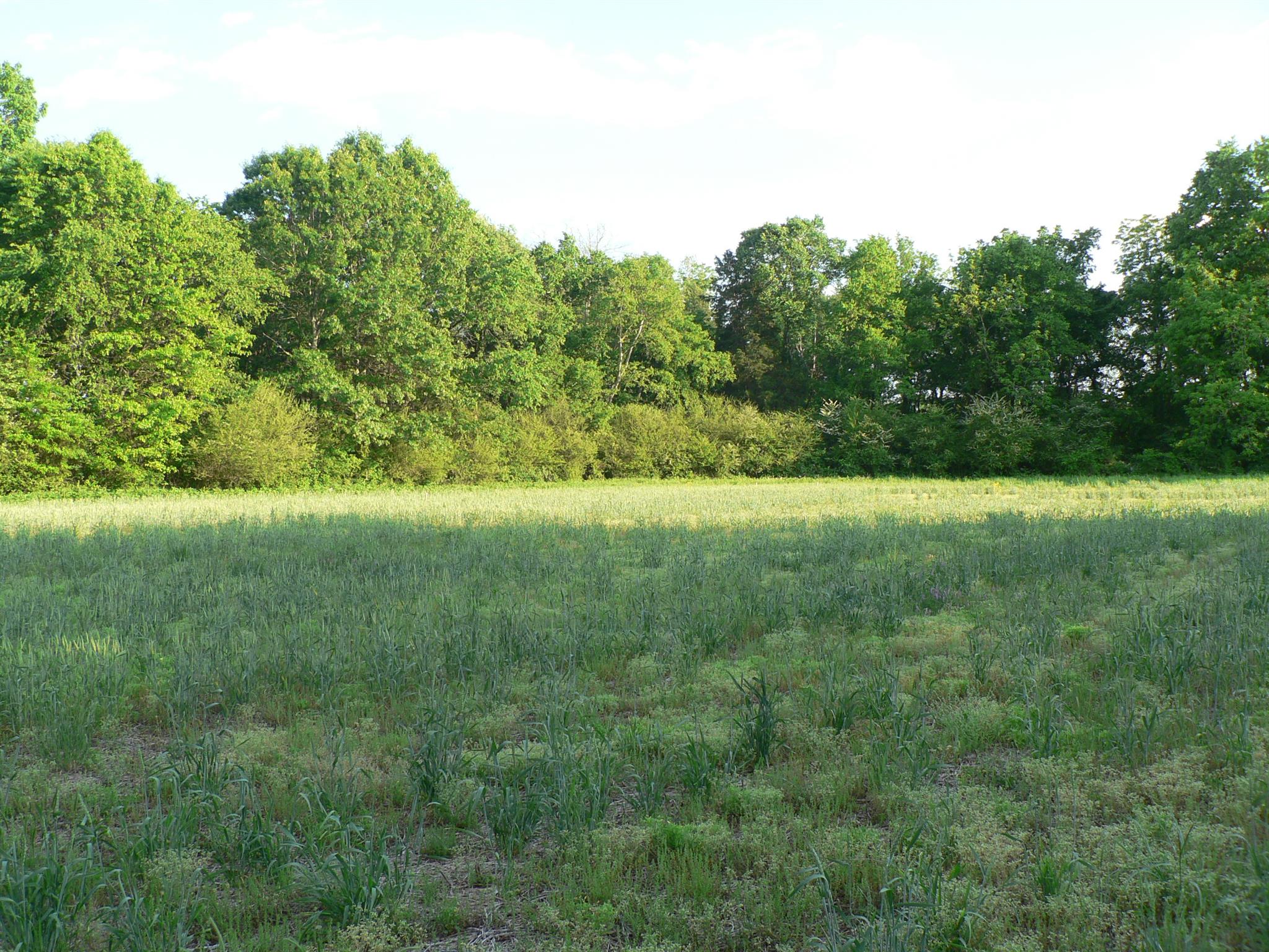 1 Neil Road Chapel Hill, TN 37034 - Photo 3 of 3 Gallery Image 3