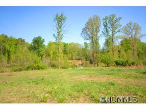 1424 Prince Road Columbus, NC 28722 - Photo 3 of 7